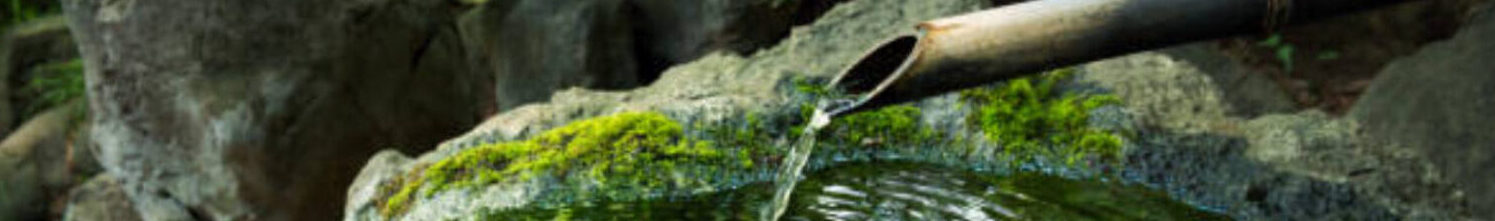 Japanese garden landscape. Water tank harmonized with nature.