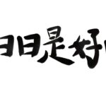 24631189