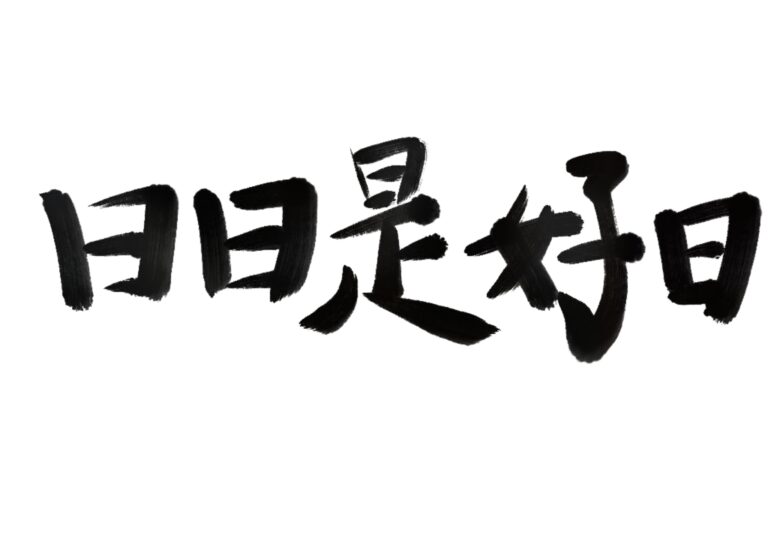 24631189